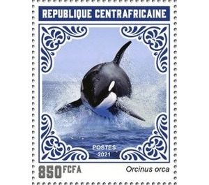 Orca (Orcinus orca) - Central Africa / Central African Republic 2021 - 850