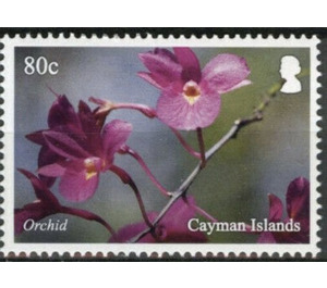 Orchid - Caribbean / Cayman Islands 2020 - 80