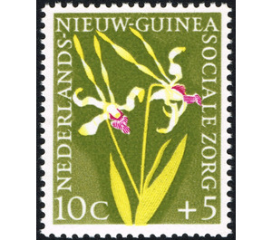 Orchid - Melanesia / Netherlands New Guinea 1959