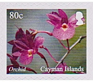 Orchids - Caribbean / Cayman Islands 2020 - 80