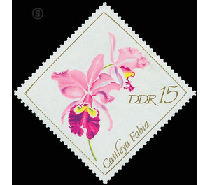 orchids  - Germany / German Democratic Republic 1968 - 15 Pfennig