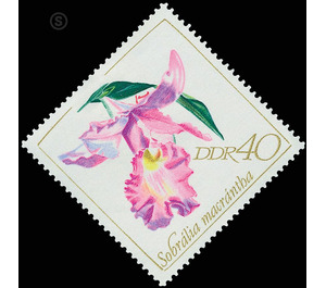 orchids  - Germany / German Democratic Republic 1968 - 40 Pfennig