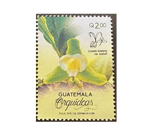 Orchids of Guatemala - Central America / Guatemala 2020