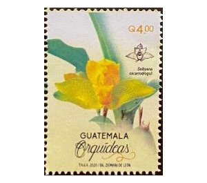 Orchids of Guatemala - Central America / Guatemala 2020