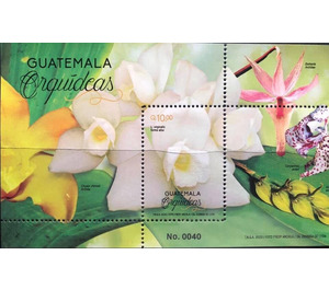 Orchids of Guatemala - Central America / Guatemala 2020