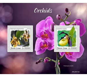 Orchids - West Africa / Sierra Leone 2020