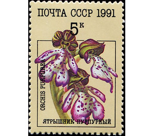 Orchis purpurea - Lady Orchid - Russia / Soviet Union 1991 - 5