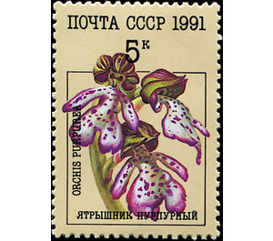 Orchis purpurea - Lady Orchid - Russia / Soviet Union 1991 - 5