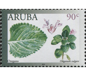 Oregano (Origanum vulgare) - Caribbean / Aruba 2019 - 90