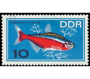 ornamental fish  - Germany / German Democratic Republic 1966 - 10 Pfennig