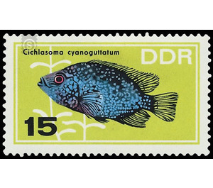 ornamental fish  - Germany / German Democratic Republic 1966 - 15 Pfennig