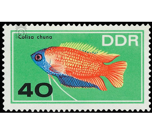 ornamental fish  - Germany / German Democratic Republic 1966 - 40 Pfennig