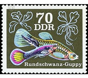 Ornamental fish: guppies (Poecilia reticulata)  - Germany / German Democratic Republic 1976 - 70 Pfennig