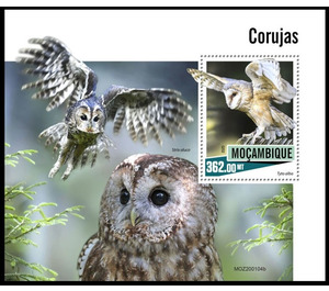 Owls - East Africa / Mozambique 2020