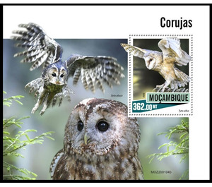 Owls - East Africa / Mozambique 2020
