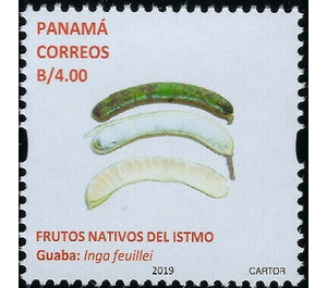 Pacay/Guaba (Inga feuillei) - Central America / Panama 2019 - 4