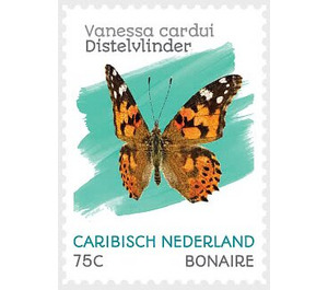 Painted Lady (Vanessa cardui) - Caribbean / Bonaire 2020 - 75