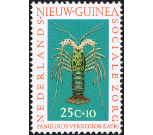 Painted Rock Lobster (Panulirus versicolor) - Melanesia / Netherlands New Guinea 1962