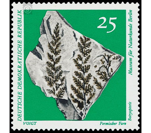 Paleontological collections from the Museum of Natural History in Berlin  - Germany / German Democratic Republic 1973 - 25 Pfennig