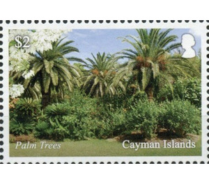 Palm Trees - Caribbean / Cayman Islands 2020 - 2