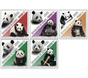 Pandas (2021) - West Africa / Guinea 2021 Set