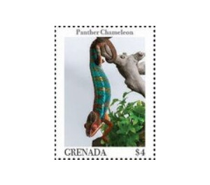 Panther chameleon - Caribbean / Grenada 2020 - 4