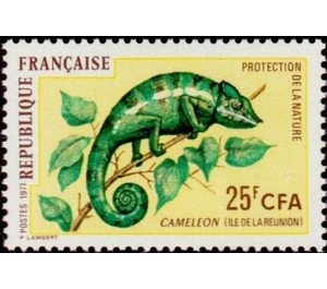 Panther Chameleon (Chamaeleo pardalis) - East Africa / Reunion 1971 - 25