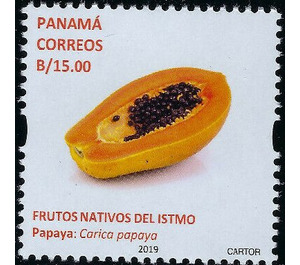 Papaya (Carica papaya) - Central America / Panama 2019 - 15