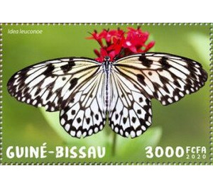 Paper Kite Butterfly (Idea leuconoe) - West Africa / Guinea-Bissau 2020