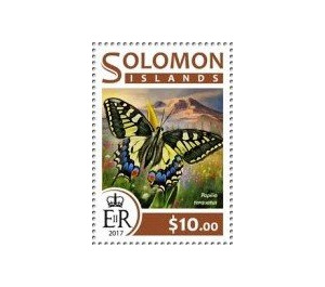 Papilio torquatus - Melanesia / Solomon Islands 2017 - 10
