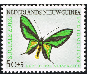 Paradise Birdwing (Ornithoptera paradisea) - Melanesia / Netherlands New Guinea 1960