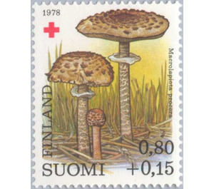 Parasol mushroom (Macrolepiota procera) - Finland 1978 - 0.80 markka