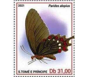 Parides alopius - Central Africa / Sao Tome and Principe 2021