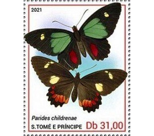 Parides childrenae - Central Africa / Sao Tome and Principe 2021