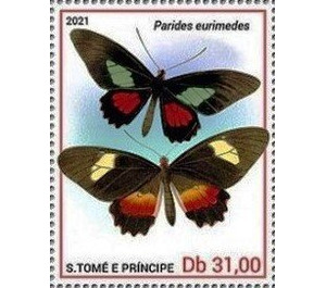 Parides eurimedes - Central Africa / Sao Tome and Principe 2021