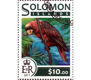 Parrot - Melanesia / Solomon Islands 2017 - 10