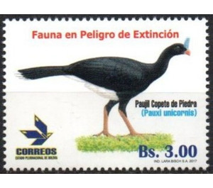 Pauxi unicornis - South America / Bolivia 2017 - 3
