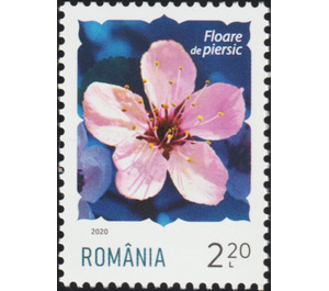Peach Blossom - Romania 2020 - 2.20