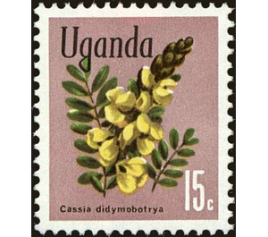 Peanut Butter Cassia (Senna didymobotrya) - East Africa / Uganda 1972 - 15