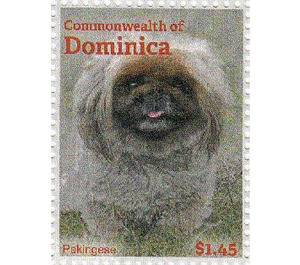 Pekingese Dog (Canis lupus familiaris) - Caribbean / Dominica 2013 - 1.45