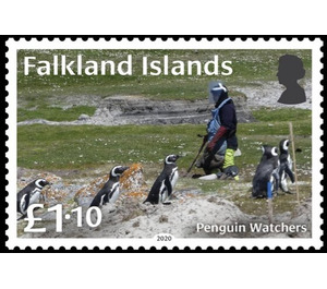 Penguin Watchers - South America / Falkland Islands 2020