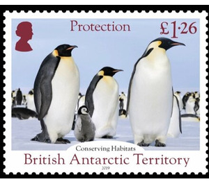 Penguins - British Antarctic Territory 2019 - 1.26
