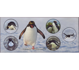 Penguins - Ross Dependency 2014