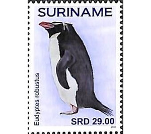 Penguins - South America / Suriname 2021