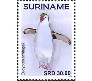 Penguins - South America / Suriname 2021