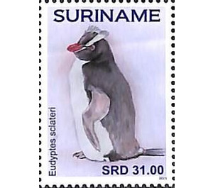 Penguins - South America / Suriname 2021