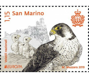 Peregrine Falcon (Falco peregrinus) - San Marino 2019 - 1.15