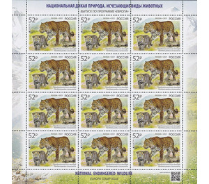 Persian Leopard (Panthera pardus ciscaucasica) - Russia 2021