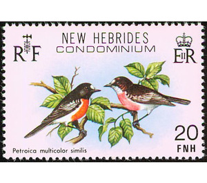 Petroica multicolor similis - Melanesia / New Hebrides 1980 - 20