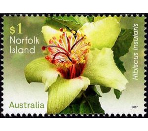 Philip Island hibiscus (Hibiscus insularis) - Norfolk Island 2017 - 1
